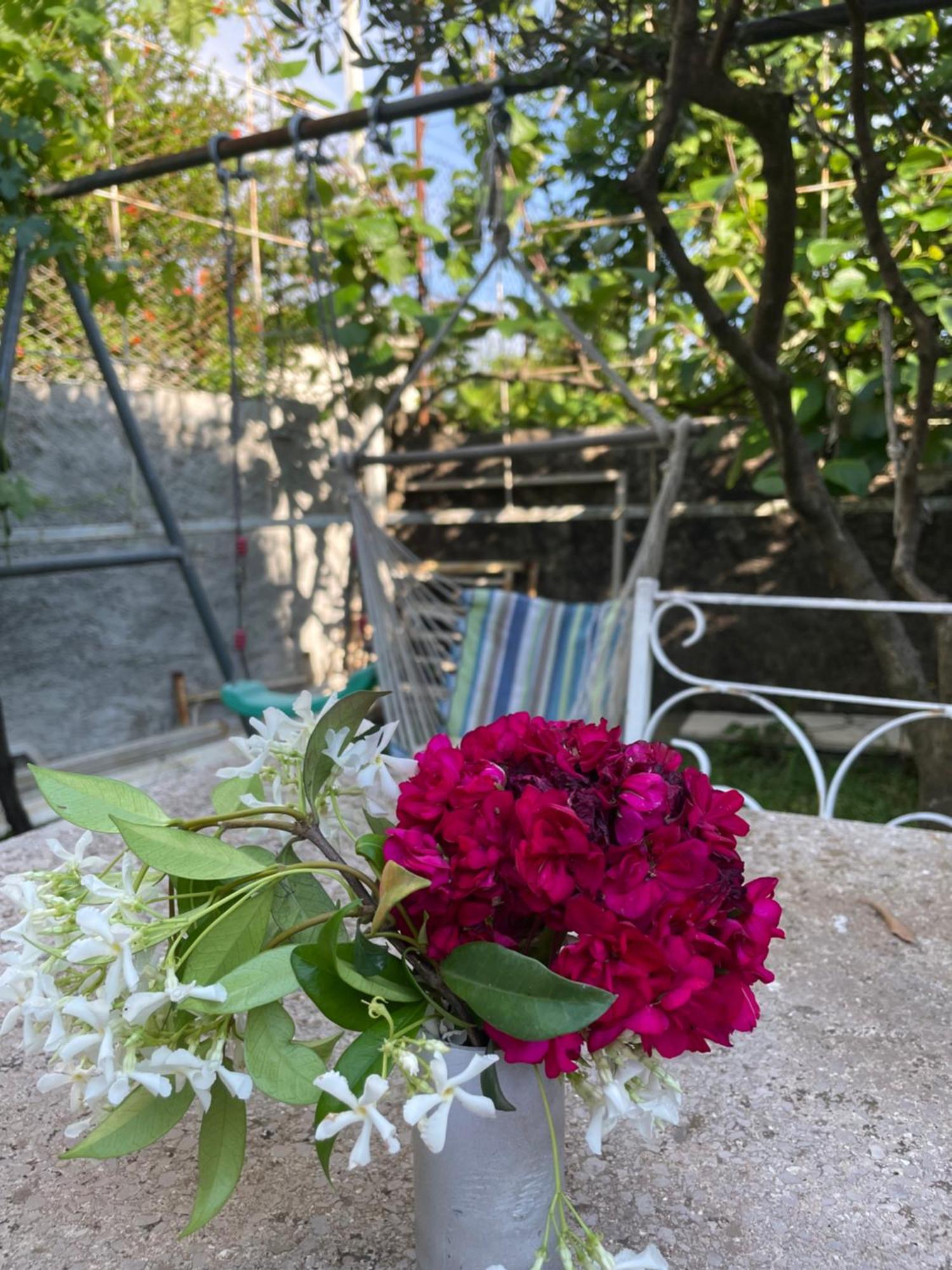 Vila Nela Shkoder Luaran gambar